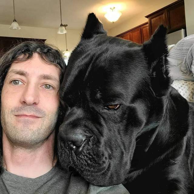 卡斯罗犬vs视频直播，为什么我劝你别光看屏幕就敢养这条黑豹